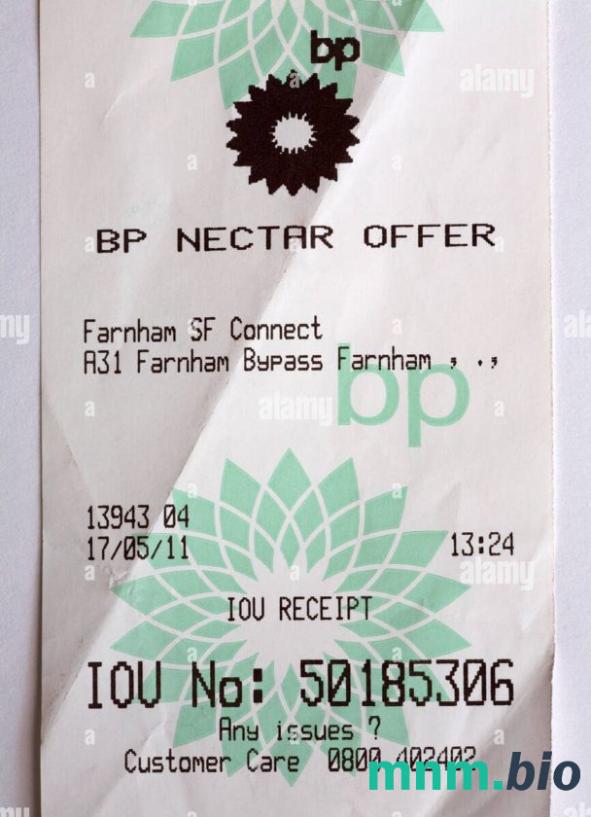 BP Nectar Rewards szablon pokwitowania płatności PSD
